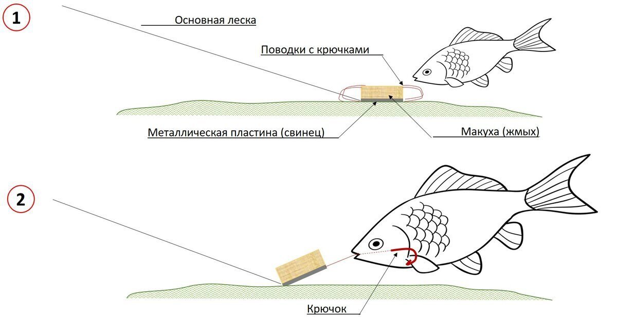 Макушатник жмыховка на карпа карася сазана леща