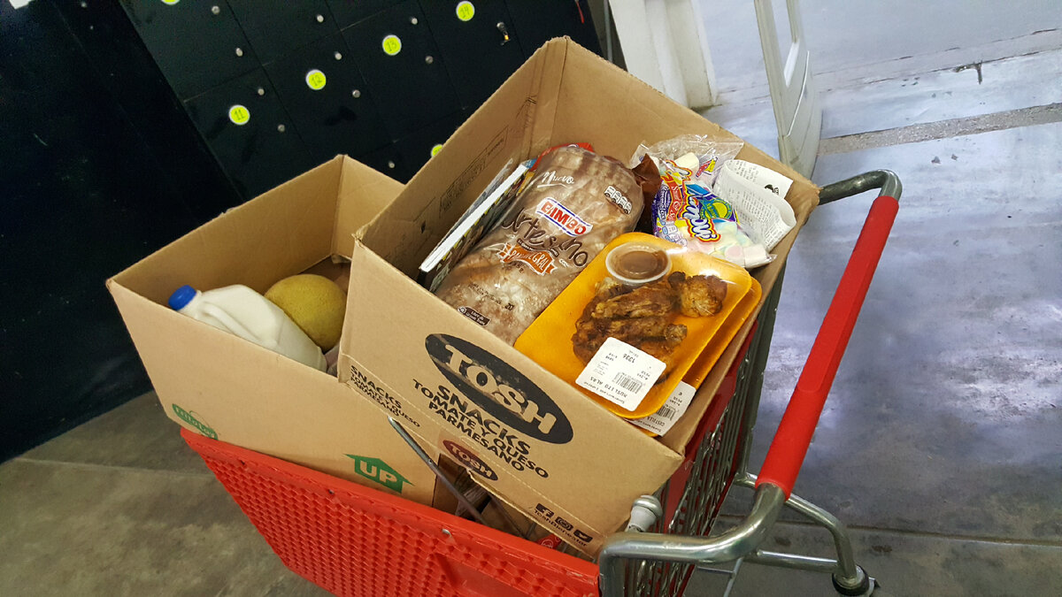 закупили продукты на месяц