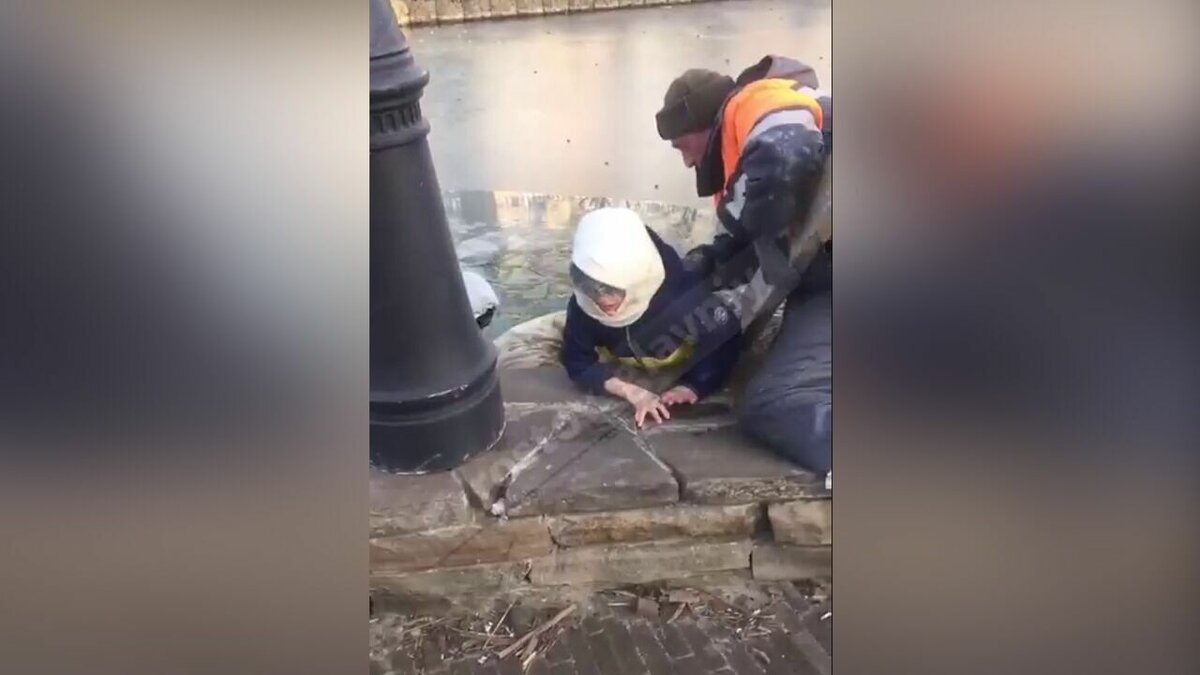     В Ростове на балке имени Игоря Рябинина двое детей оказались подо льдом, несмотря на замечания взрослых, видео появилось в соцсетях.