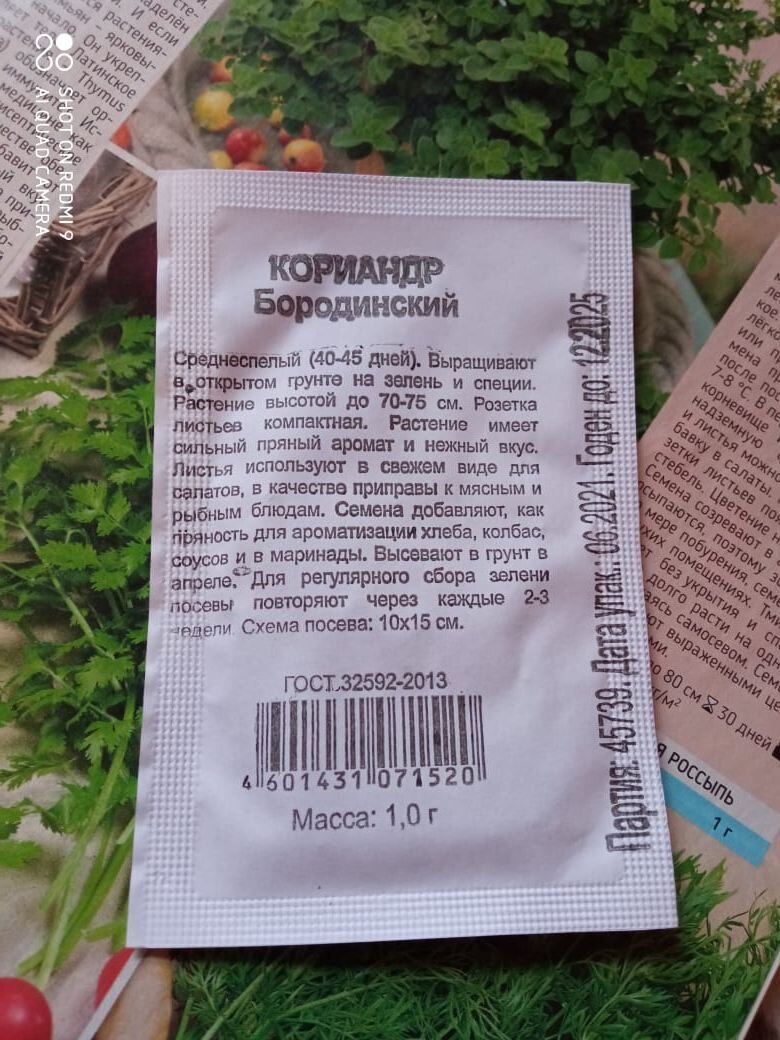 Семена кориандра Бородинского. 