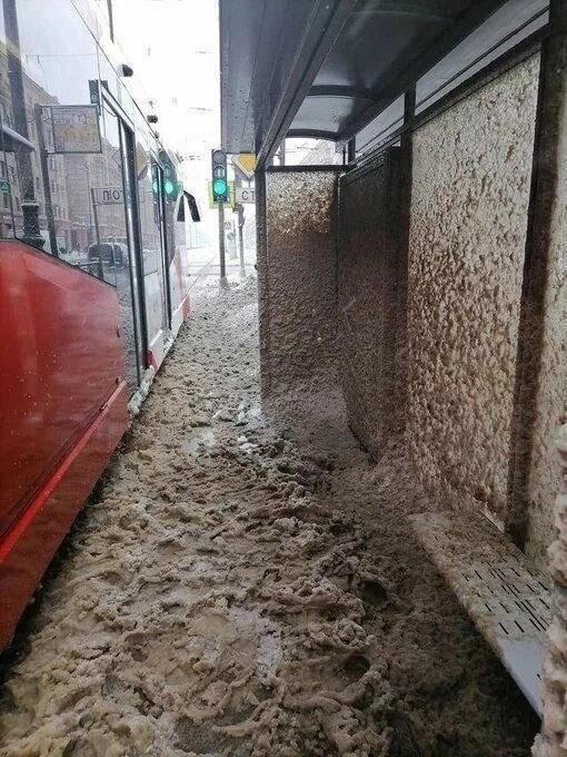 Фото: t.me/piterach/4168  📷
