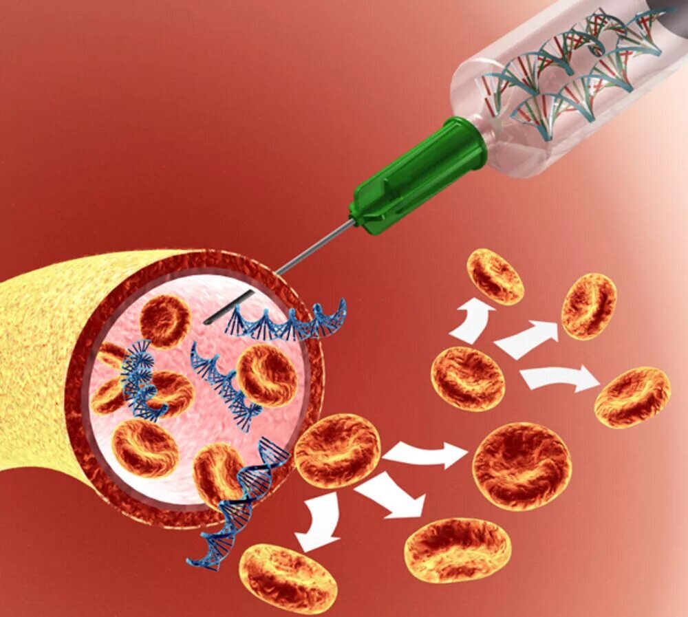 Генный и клеточный допинг в спорте. Генная терапия соматических клеток. Заместительная генная терапия. Генный допинг. Генная терапия ствольных клеток.