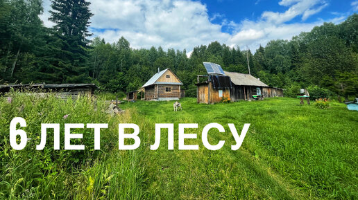 6 лет в лесу. Заимка в глубинке леса. Он создал все удобства. Жизнь наедине с природой [ч.4]