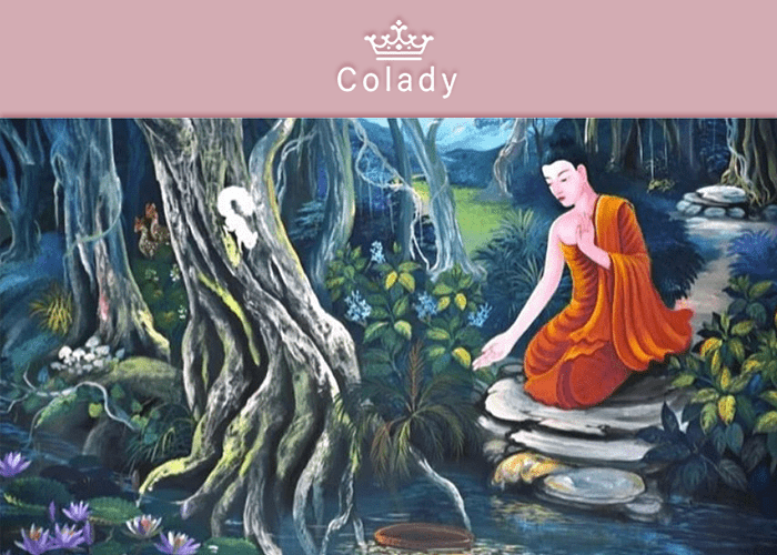    Иллюстрация Colady от Кирилла Даниленко Антонина Салашник