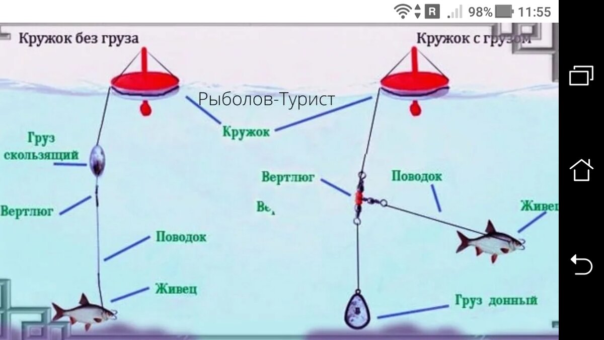 Сколько можно ставить жерлиц на 1 человека. Монтаж кружков на щуку с грузом. Снасть кружок на щуку монтаж. Оснастка летних кружков на щуку. Как правильно оснастить кружки на щуку на живца.