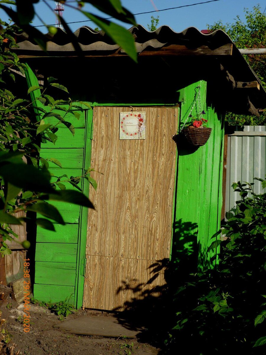 (Фото автора). Вот такой веселенький цвет.
