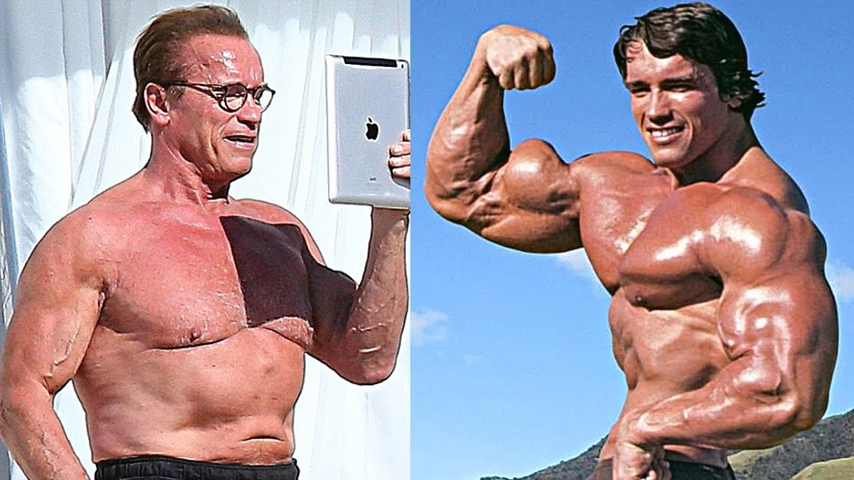 Арнольд Шварценеггер сейчас торс