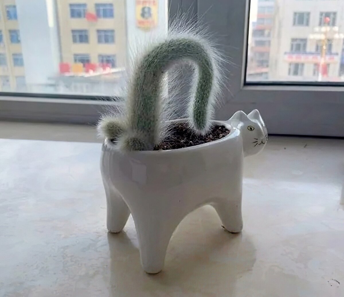 иллюстрация из яндекс картинки.