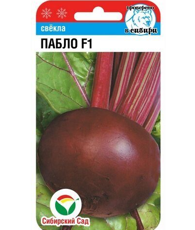 Свёкла Пабло F1. Скрин фото автора
