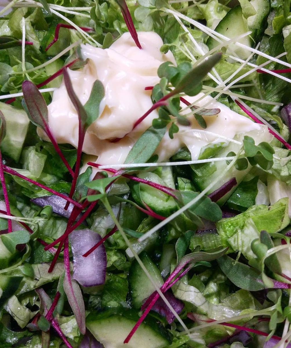 Микрозелень свеклы и кресс-салата. Март 2022