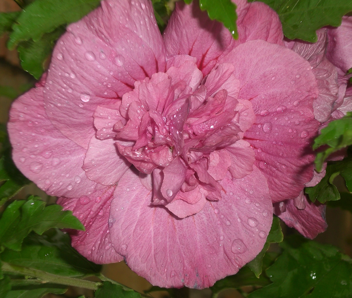 В разное время суток он немного меняет цвет.