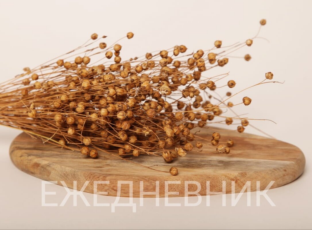 Ежедневник