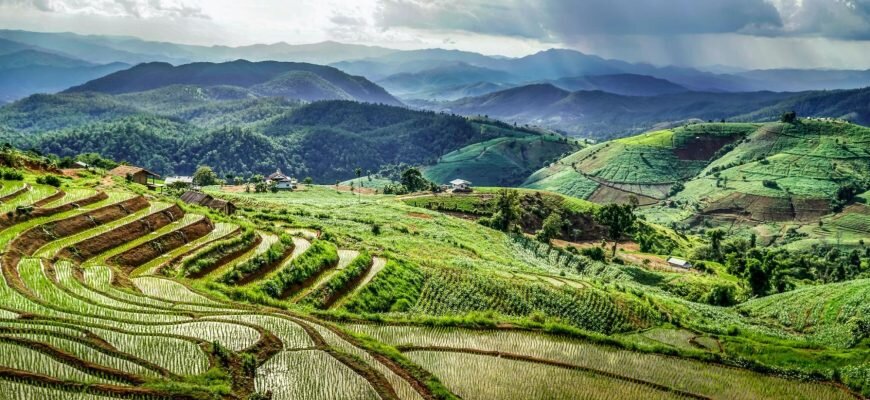Производство кофе в Таиланде
