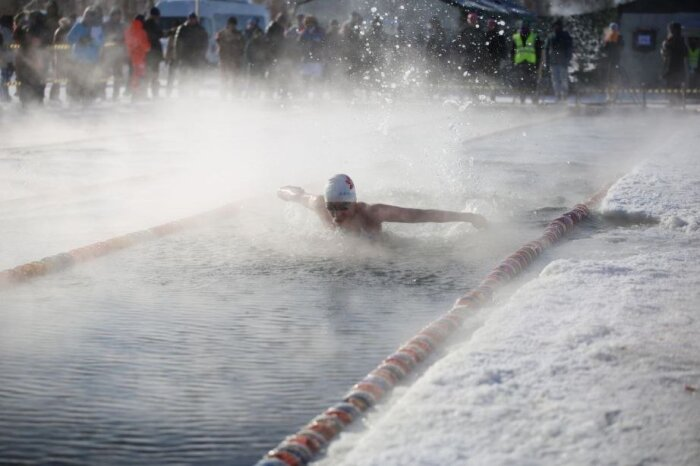 Фото: телеграм-канал "Амурский инсайдер": Моржи в Хабаровске 