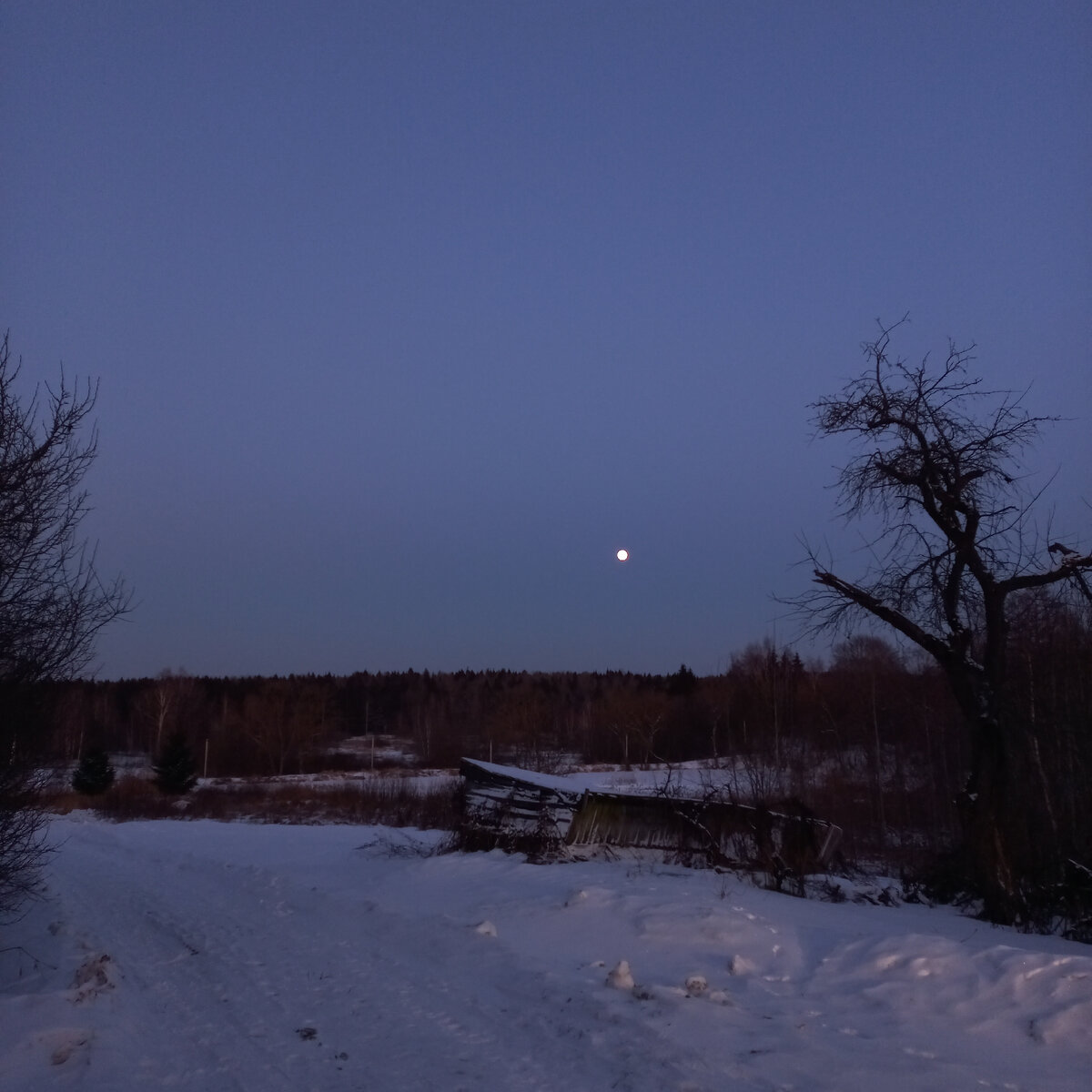 Вечерняя деревня близ Смоленска 