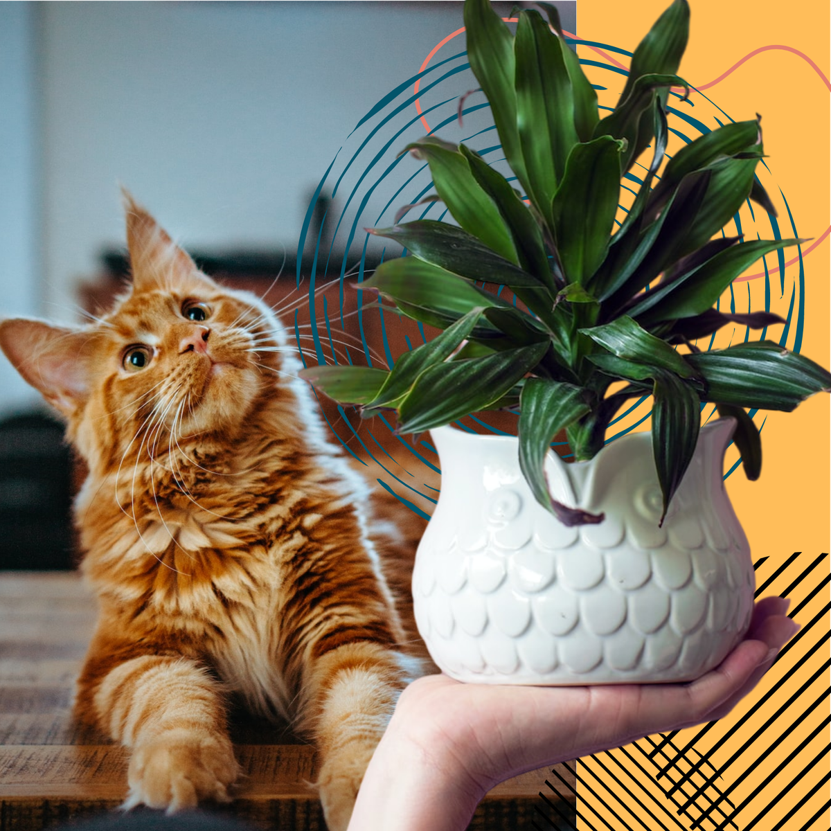 "Грызть или не грызть?"