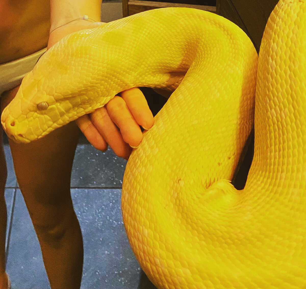 Наш Желток  и часть жены🙃