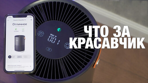 ОЧИСТИТ ВОЗДУХ ЗА 6,5 МИНУТ! Стильный и умный очиститель воздуха Smartmi Air Purifier P1 | Обзор