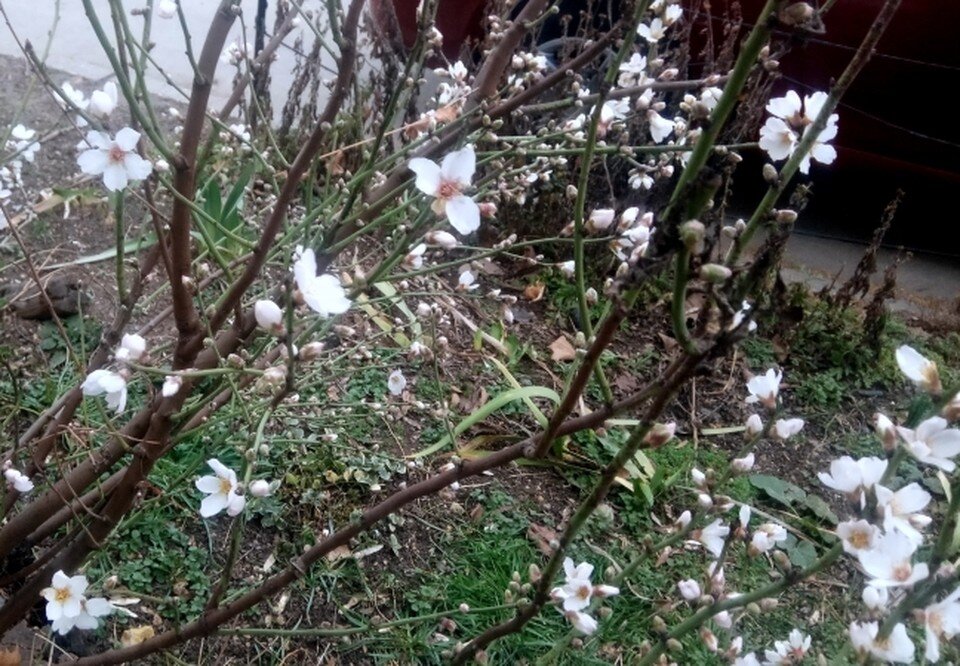     Теплые выходные обещают в Ростове-на-Дону Виталий ПАРУБОВ