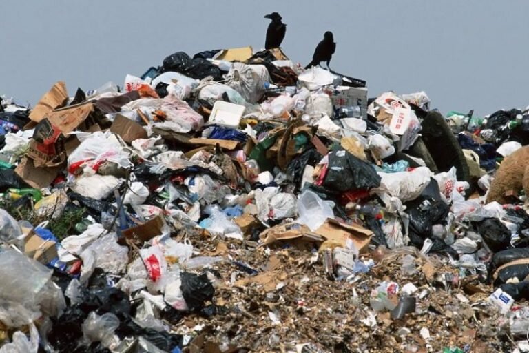    Более миллиарда рублей направят на ликвидацию свалок в Оренбуржье Марина Шарт