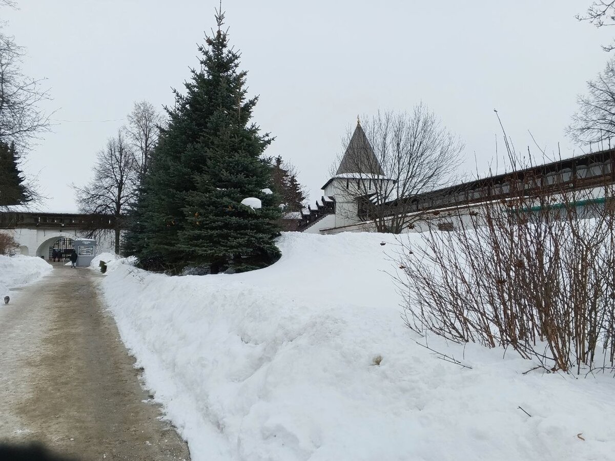 Один почти весенний день в «Городе 76»: нетуристические тропы, гастрономия и немного культурных объектов