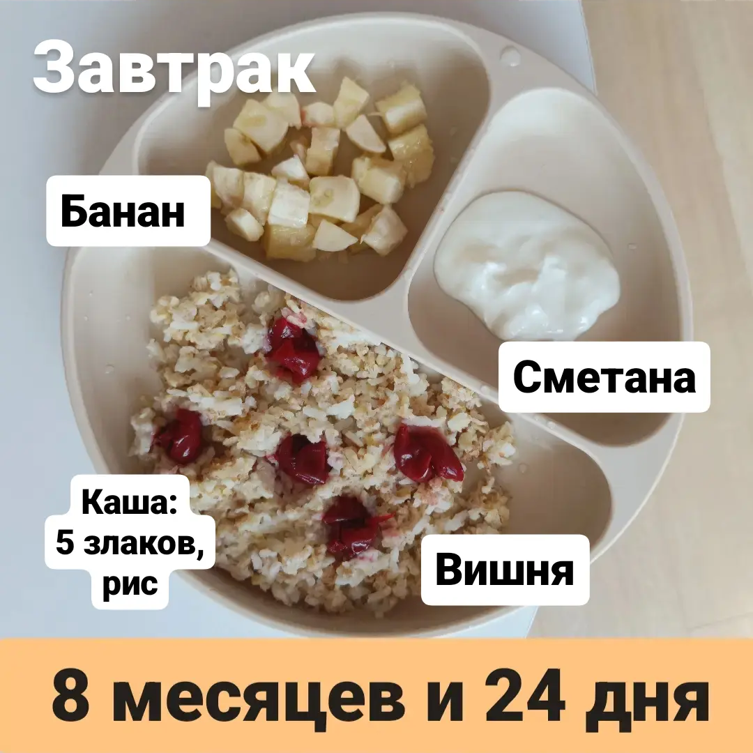 Пример тарелки в 8 месяцев 