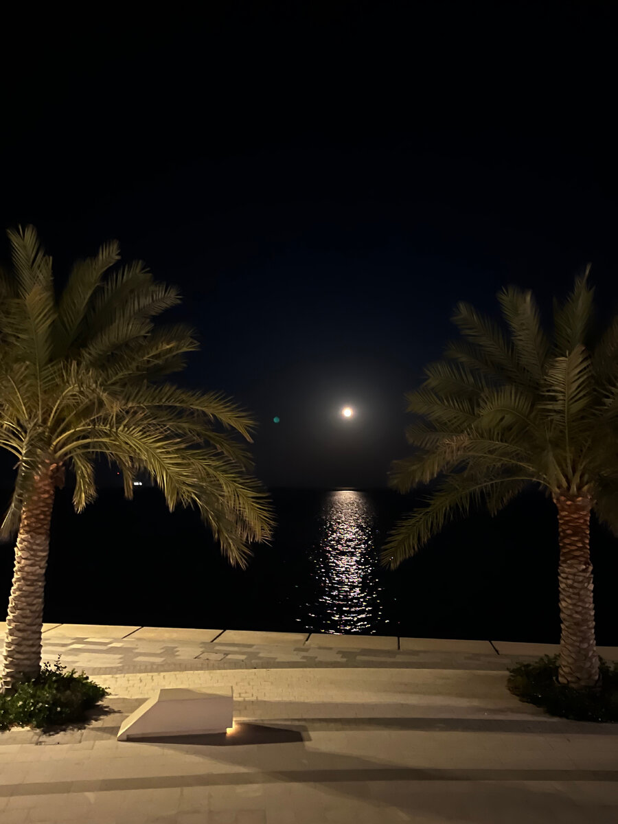 Бывают же кадры. Гулял с детьми в парке 