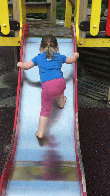 Ползи к вершине! Оттуда так весело скатываться