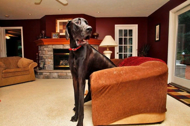  Фото из отрытых источников Яндекс Картинки 