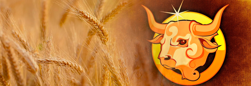 Гороскоп июль 2020 — Телец