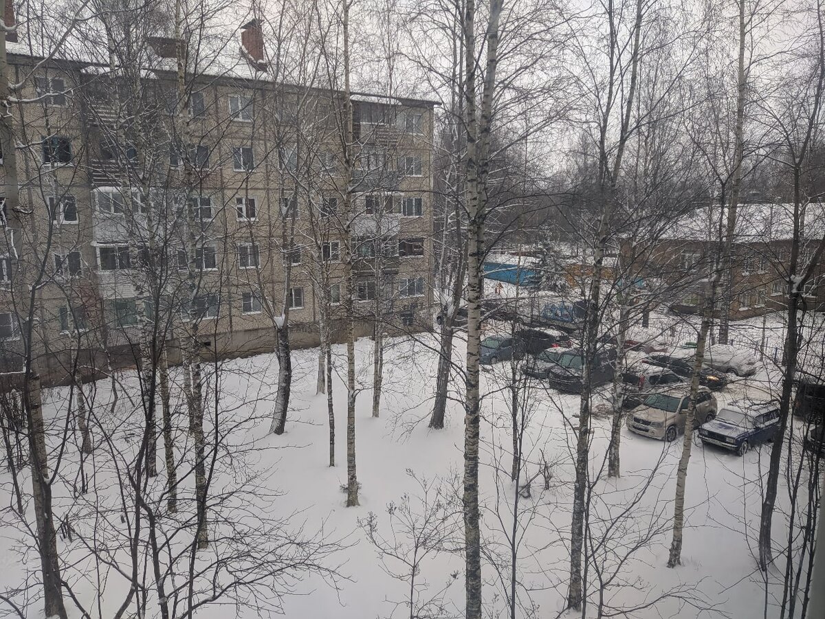 Весенний вид на аналогичный соседний дом. Летом все закрыто зеленью (следующее фото).