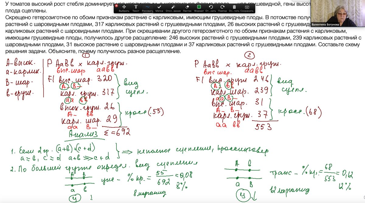 ЕГЭ 2020 и генетические страшилки. 2. Задачи на кроссинговер (секреты  расщепления, цис/транс-сцепление, число морганид) | Репетитор-профессионал  Богунова В.Г. | Дзен