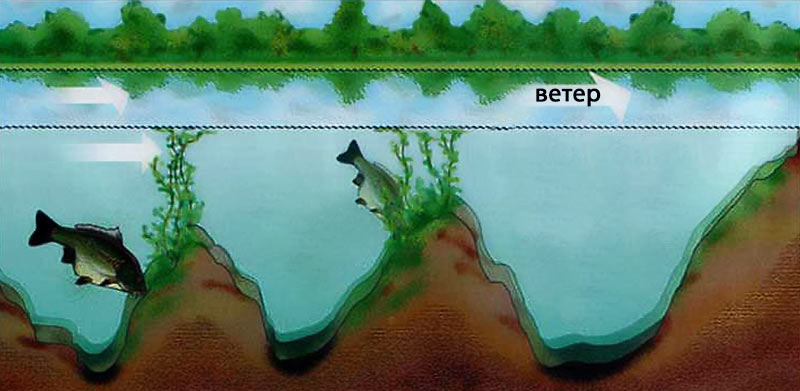 Картинка взята из Яндекс картинок  