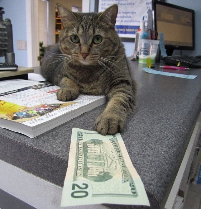 «На, возьми. Только не храни их в сберкассе!»