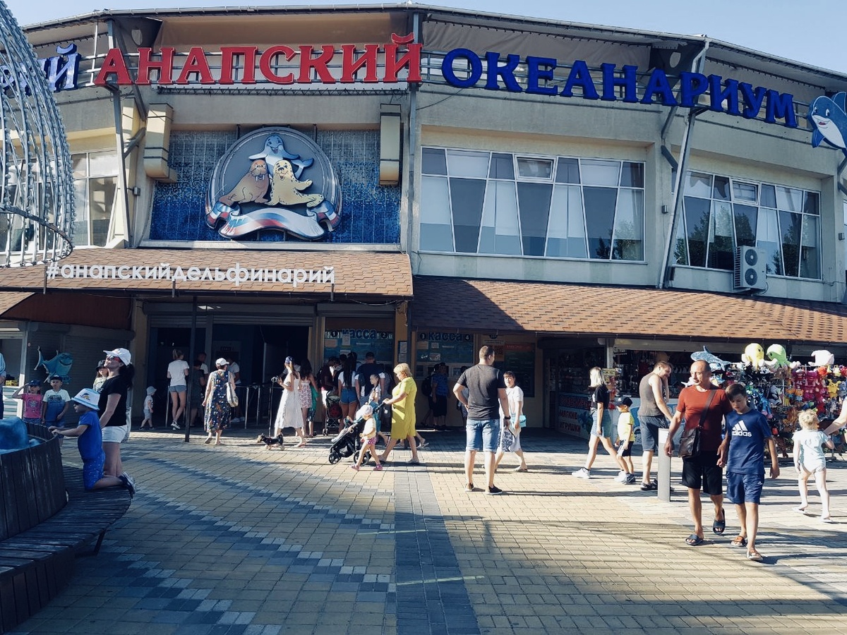 Анапский дельфинарий. Фотокарточка из личного архива.