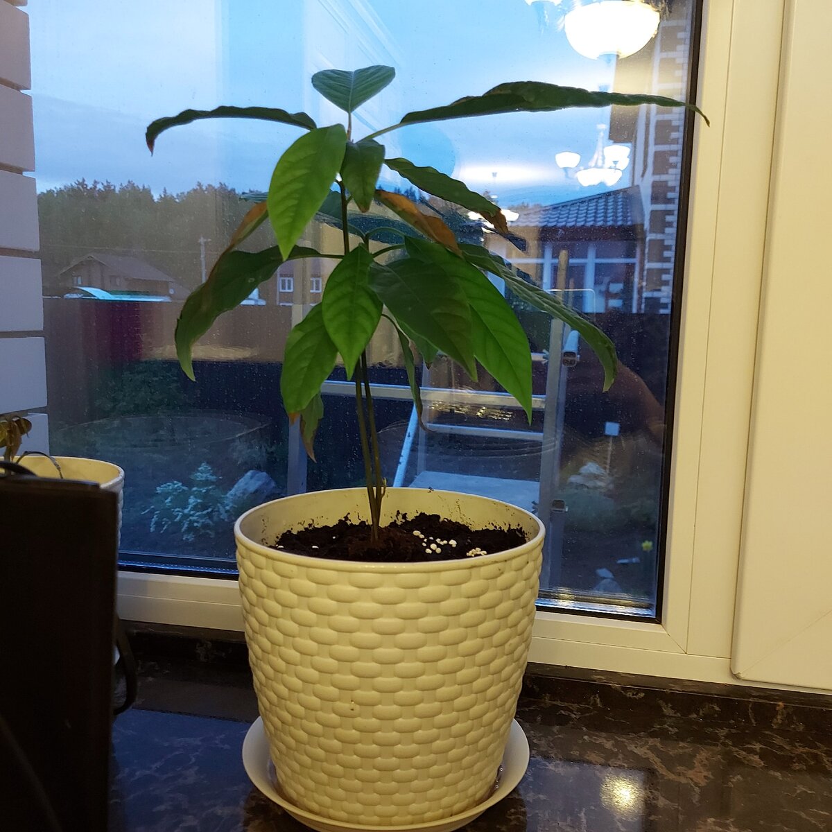 Фото от 21 мая