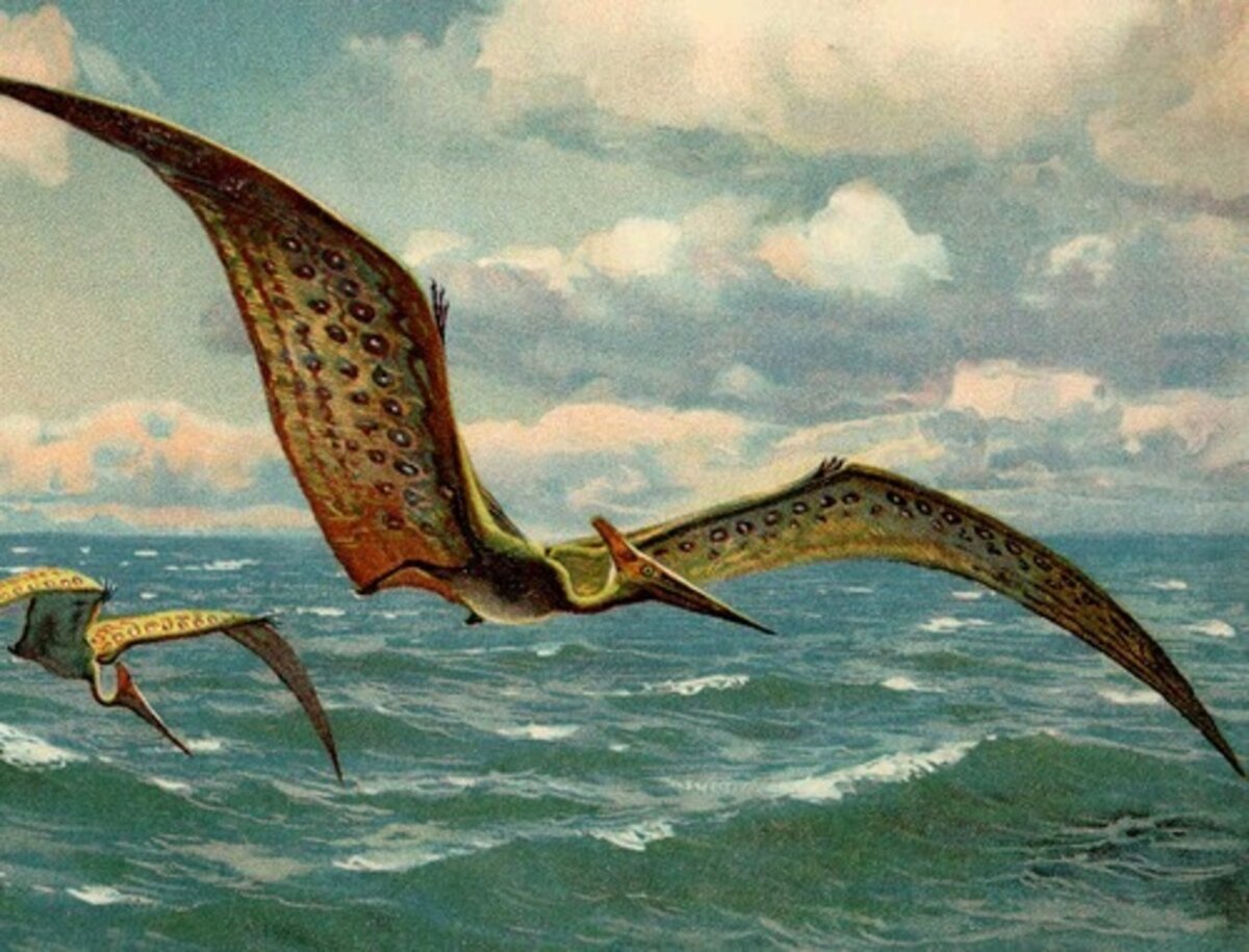 взято из Яндекс.Картинки