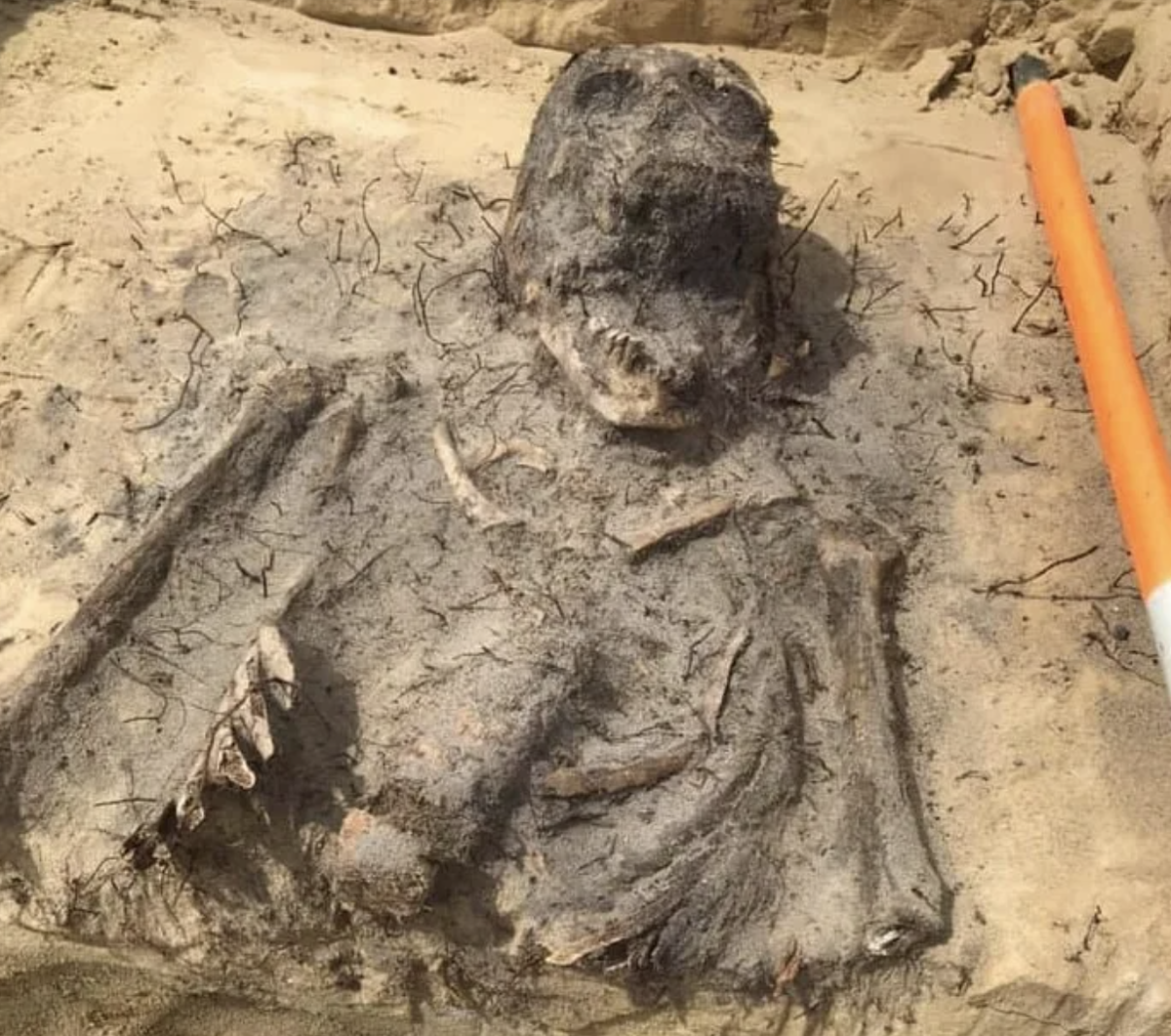 Останки были обнаружены недалеко от города Ниско Подкарпатской губернии Польши. Фото yandex.ru