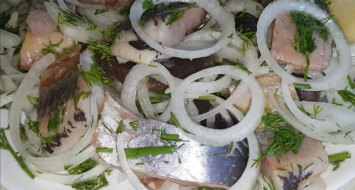 Сельдь с луком и уксусом, вторая попытка для индонезийки