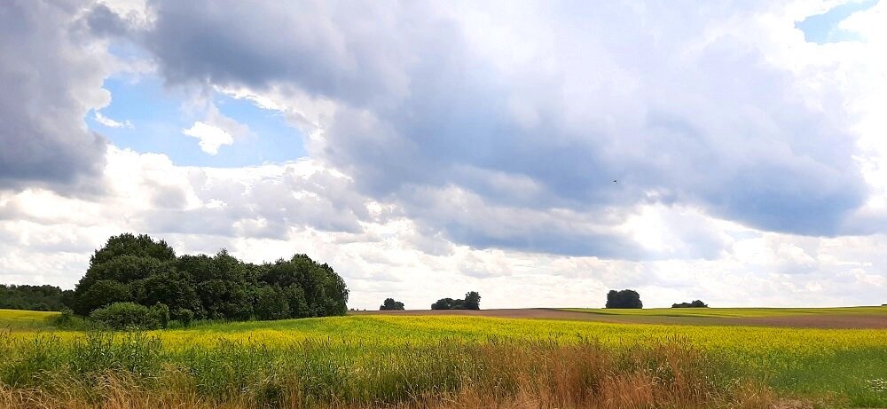 Контрастные поля