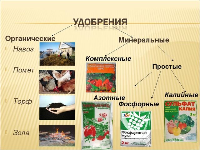 Применение селитры: удобрение или нечто большее? — ASM-AGRO