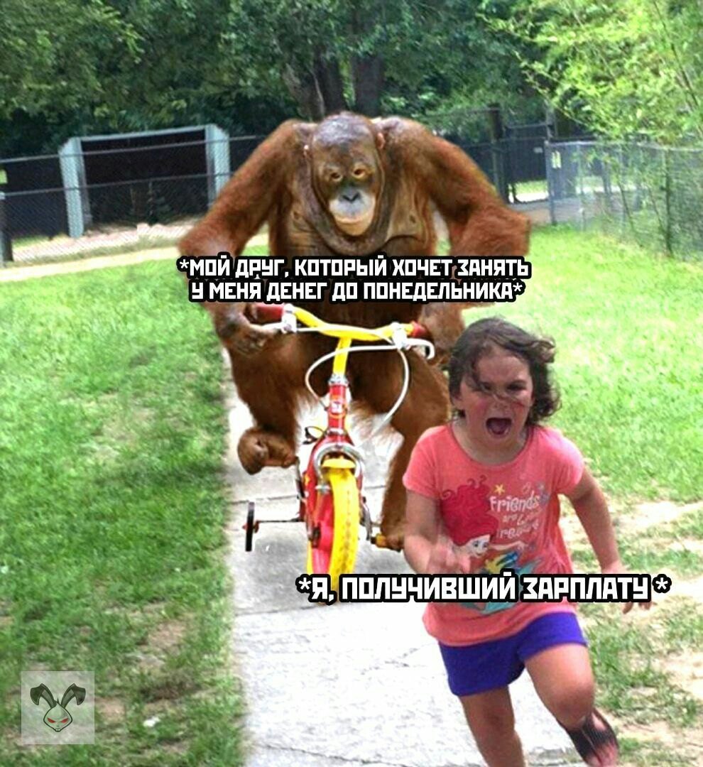 Так и быть мемам есть отдельное место в моей статье! 😊