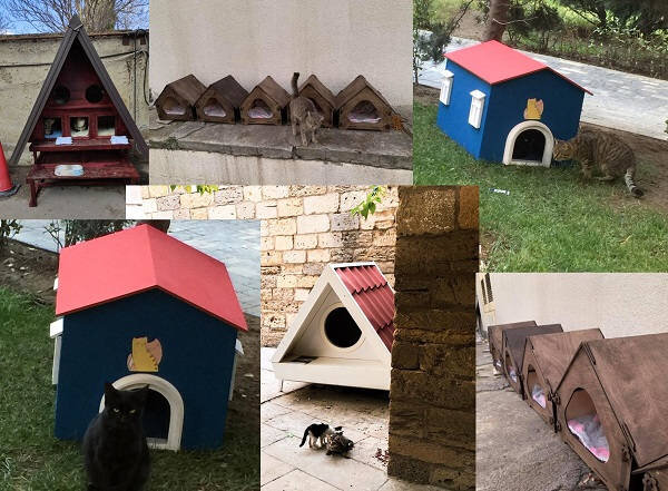 Домики для кошек от мэрии ...