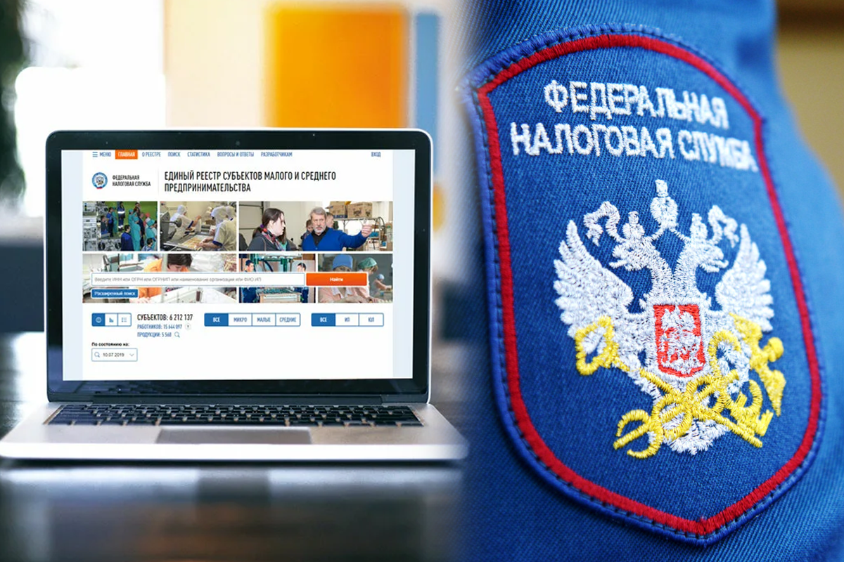 Реестр смп. Единый реестр МСП. Налоги МСП. Государственный реестр малого и среднего предпринимательства