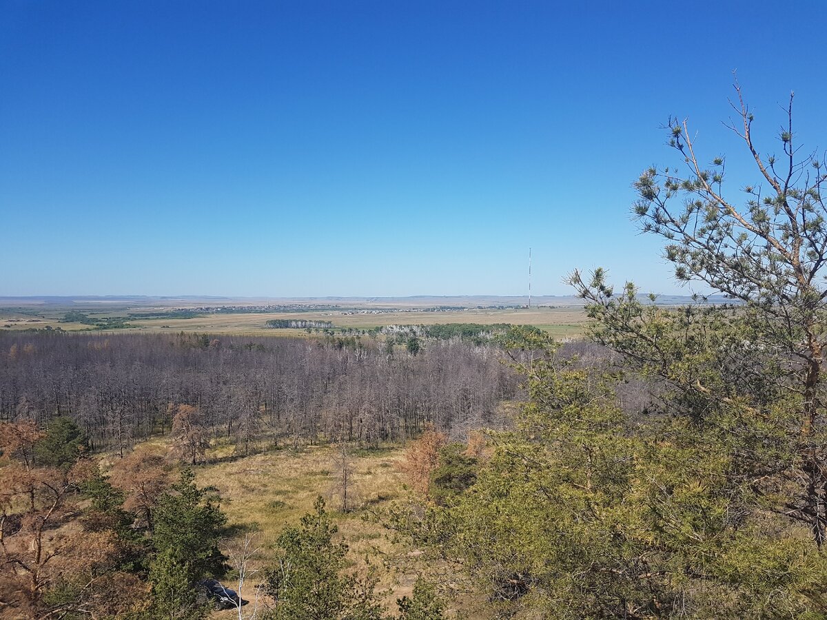Окрестности сопки