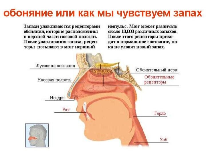 Источник: Google.com