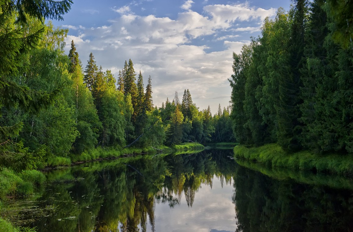 (Фото: Евгений Куренков)