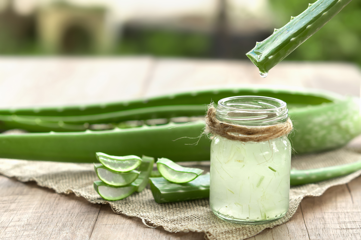 Aloe barbadensis leaf water