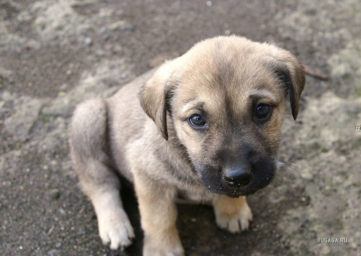 Фото из открытого источника Яндекс 