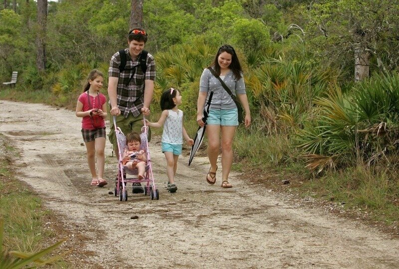 Источник фото: https://pixabay.com/